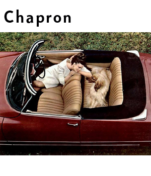 Chapron